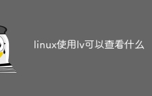 linux使用lv可以查看什么