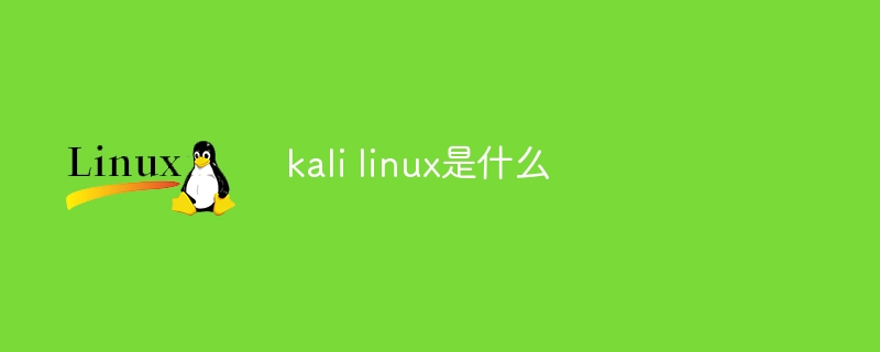 kali linux是什么意思