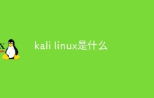 kali linux是什么意思