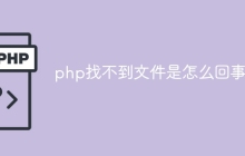 php找不到文件是怎么回事