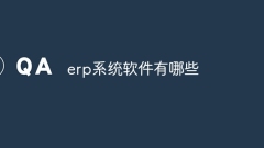Was sind ERP-Systemsoftware?