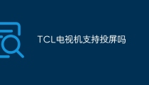 TCL电视机支持投屏吗