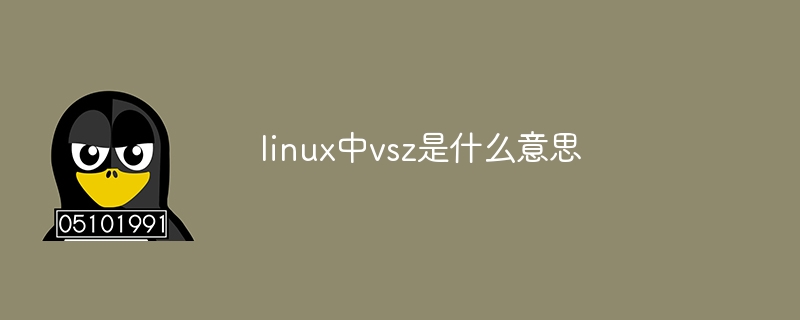 linux中vsz是什么意思