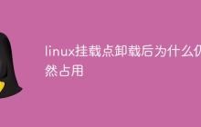 linux挂载点卸载后为什么仍然占用