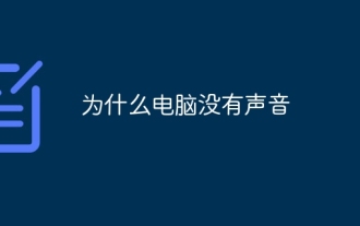 Pourquoi l'ordinateur n'a-t-il pas de son ?