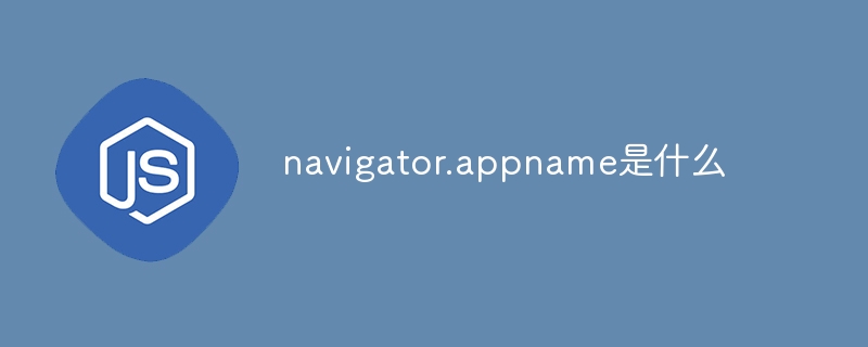 navigator.appname이 뭐죠?