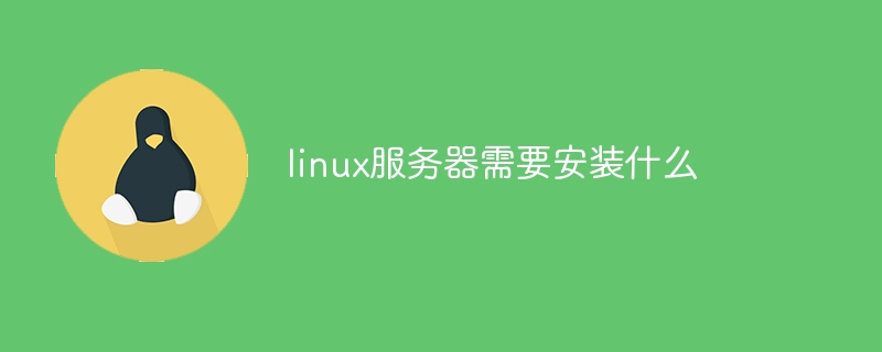 linux服务器需要安装什么