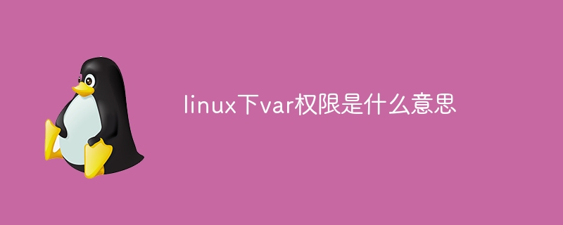 Linux에서 var 권한은 무엇을 의미합니까?