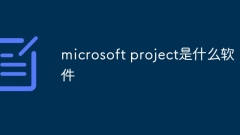 Welche Software ist Microsoft Project?