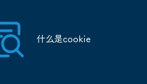 什么是cookie