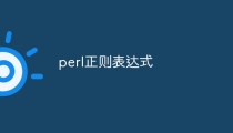 perl正则表达式