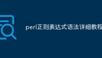 perl正则表达式语法详细教程