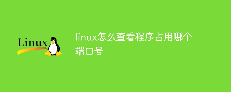 linux怎麼查看程式佔用哪個連接埠號