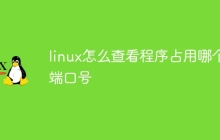 linux怎么查看程序占用哪个端口号