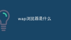 what is wap browser
