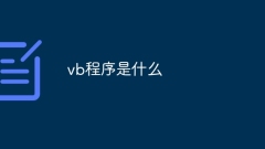 what is vb program