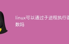 linux可以通过子进程执行函数吗