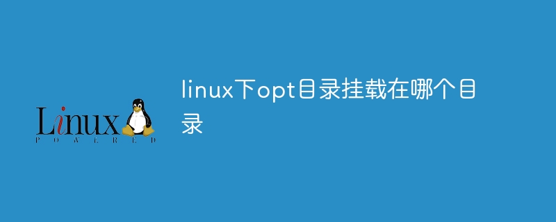 linux下opt目录挂载在哪个目录