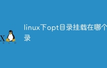 linux下opt目录挂载在哪个目录
