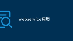 webservice调用