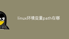 Wo ist der Pfad der Linux-Umgebungsvariablen?