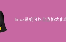 linux系统可以全盘格式化吗