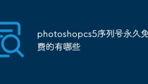 photoshopcs5序列号永久免费的有哪些