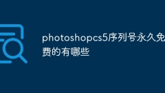 photoshopcs5序列号永久免费的有哪些