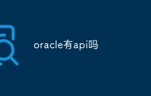 oracle有api吗