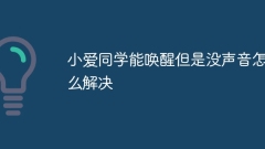 샤오아이는 일어날 수 있는데 소리가 들리지 않습니다. 어떻게 해야 하나요?