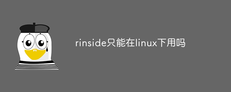 rinside只能在linux下用吗