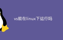 vs能在linux下运行吗