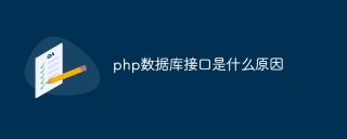 php数据库接口是什么原因