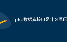 php数据库接口是什么原因