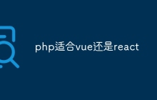 php适合vue还是react
