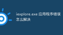 How to solve iexplore.exe application error