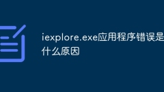 What causes iexplore.exe application error?