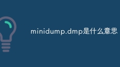 Apakah maksud minidump.dmp?