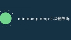 Bolehkah minidump.dmp dipadamkan?