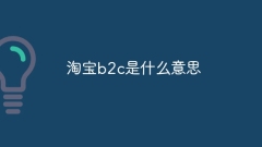 타오바오 b2c은 무슨 뜻인가요?