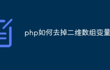 php如何去掉二维数组变量