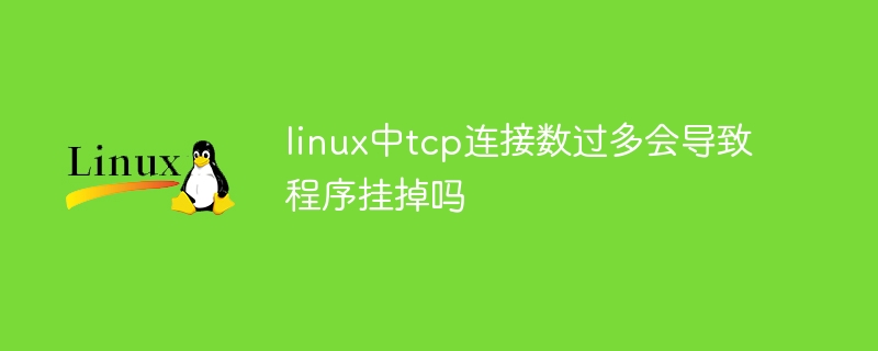 Un trop grand nombre de connexions TCP sous Linux entraînera-t-il le blocage du programme ?