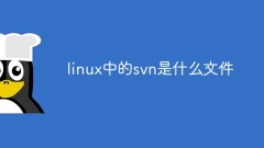 What file is svn in linux?