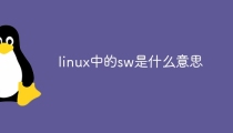 linux中的sw是什么意思