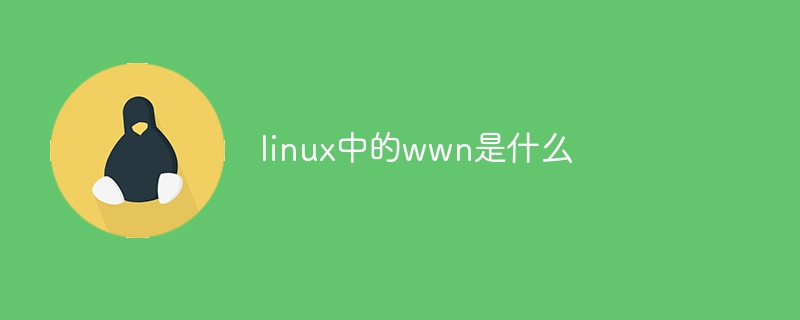linux中的wwn是什么