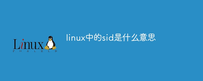 linux中的sid是什么意思
