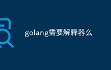 golang需要解释器么