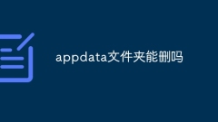 Kann der Appdata-Ordner gelöscht werden?