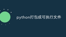 python打包成可执行文件