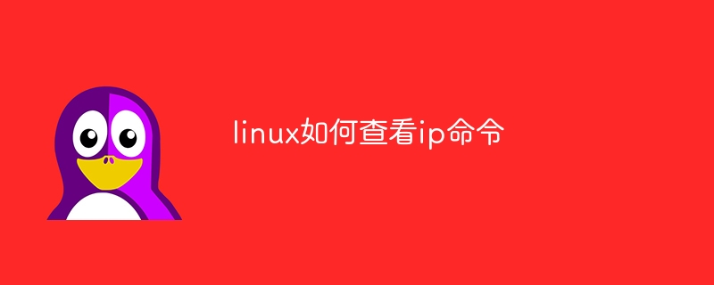 linux如何查看ip命令